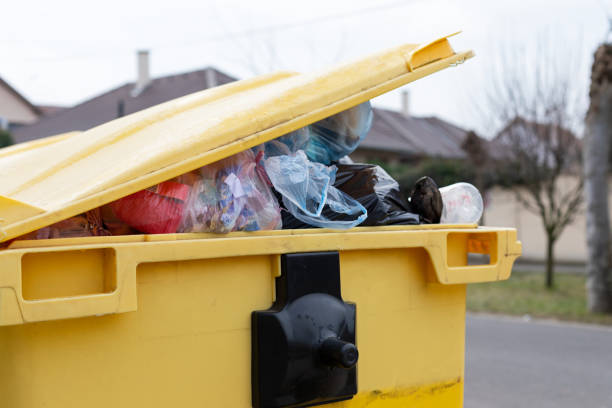 Best Carpet Removal and Disposal  in Edneyville, NC